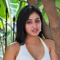 Haripriya New Photo Shoot - Pictures | Picture 115670